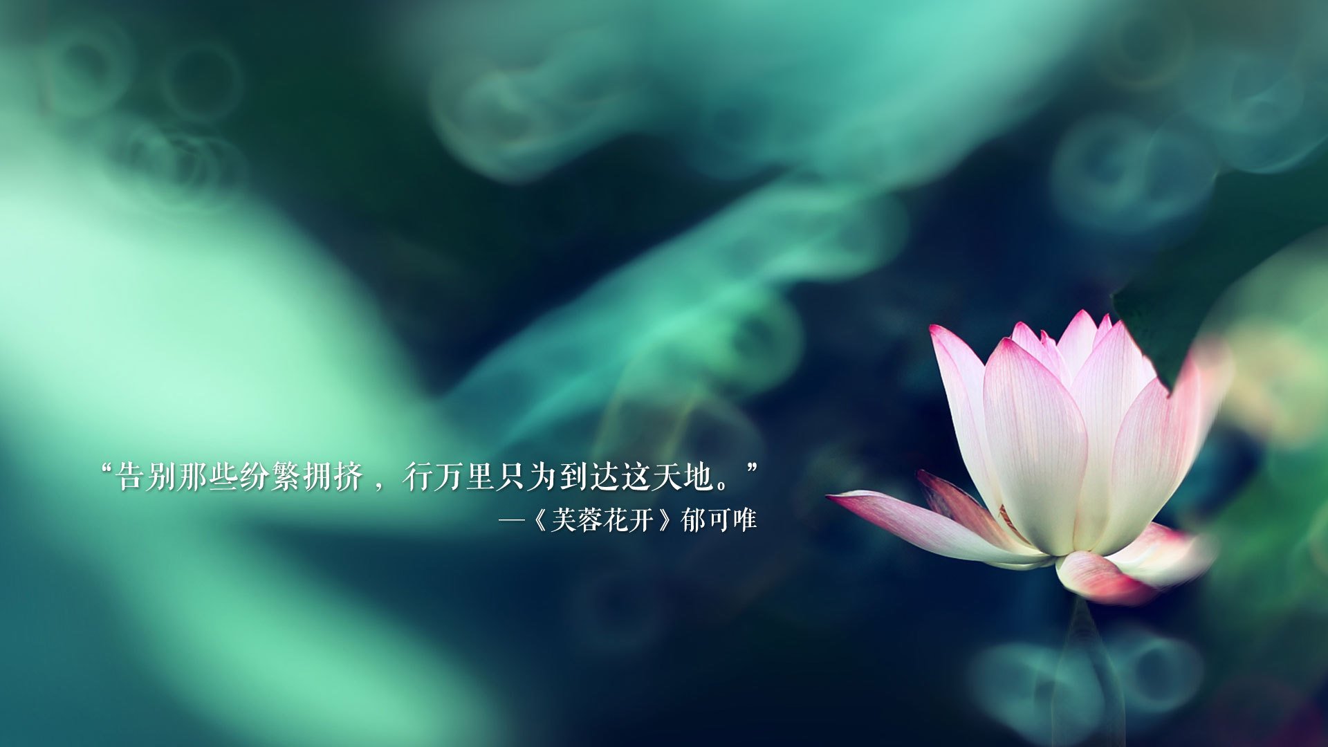 熊猫体育网站入口-穿越火线 职业联赛竞争日益激烈，穿越火线职业联赛比赛规则