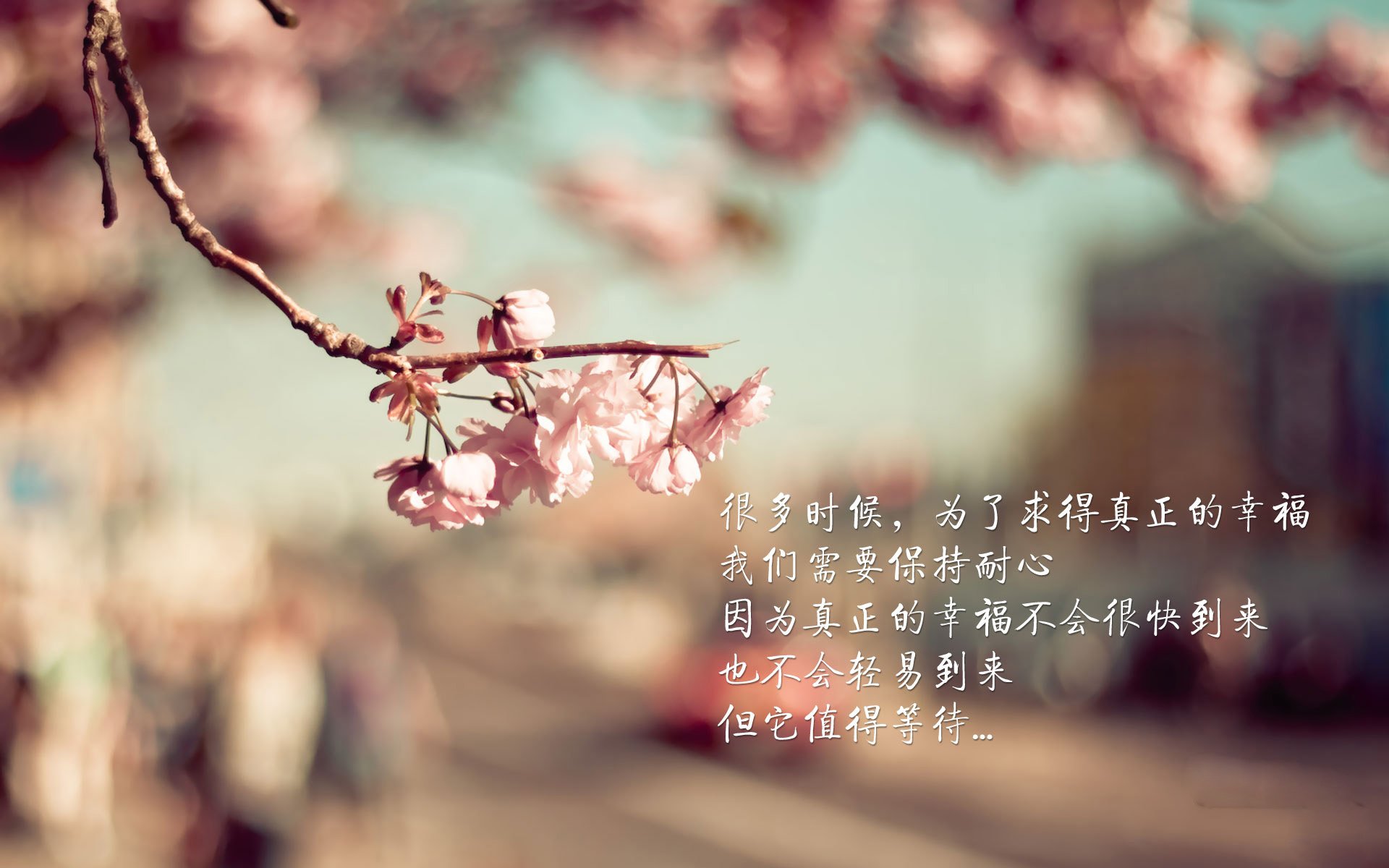 外教战术体系缺乏与中方助教协同计划，外教战术体系缺乏与中方助教协同计划的原因
