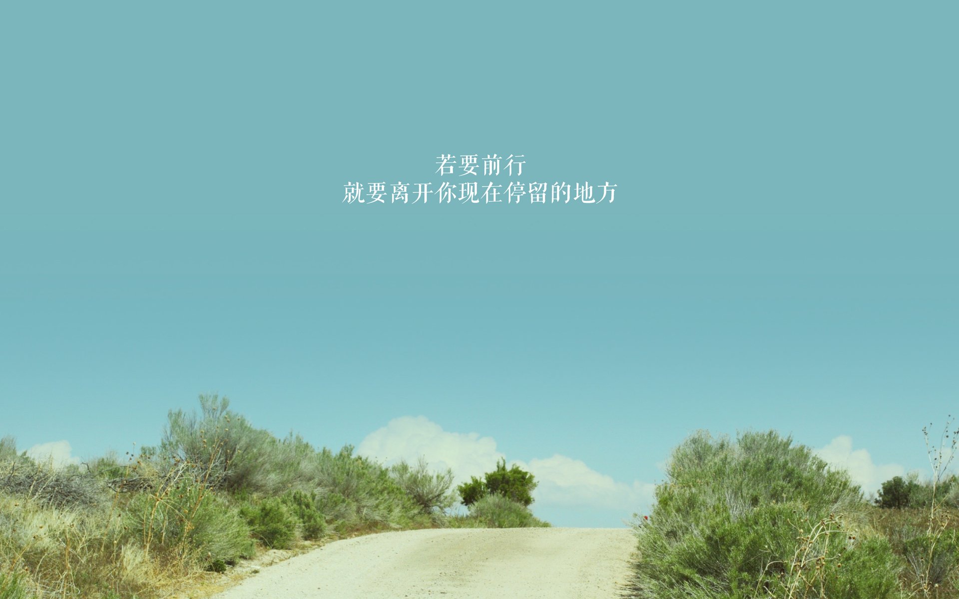 熊猫体育官方网站-新西兰全黑队的球员展现了极高的技术水平和战术理解力，新西兰全黑战舞视频