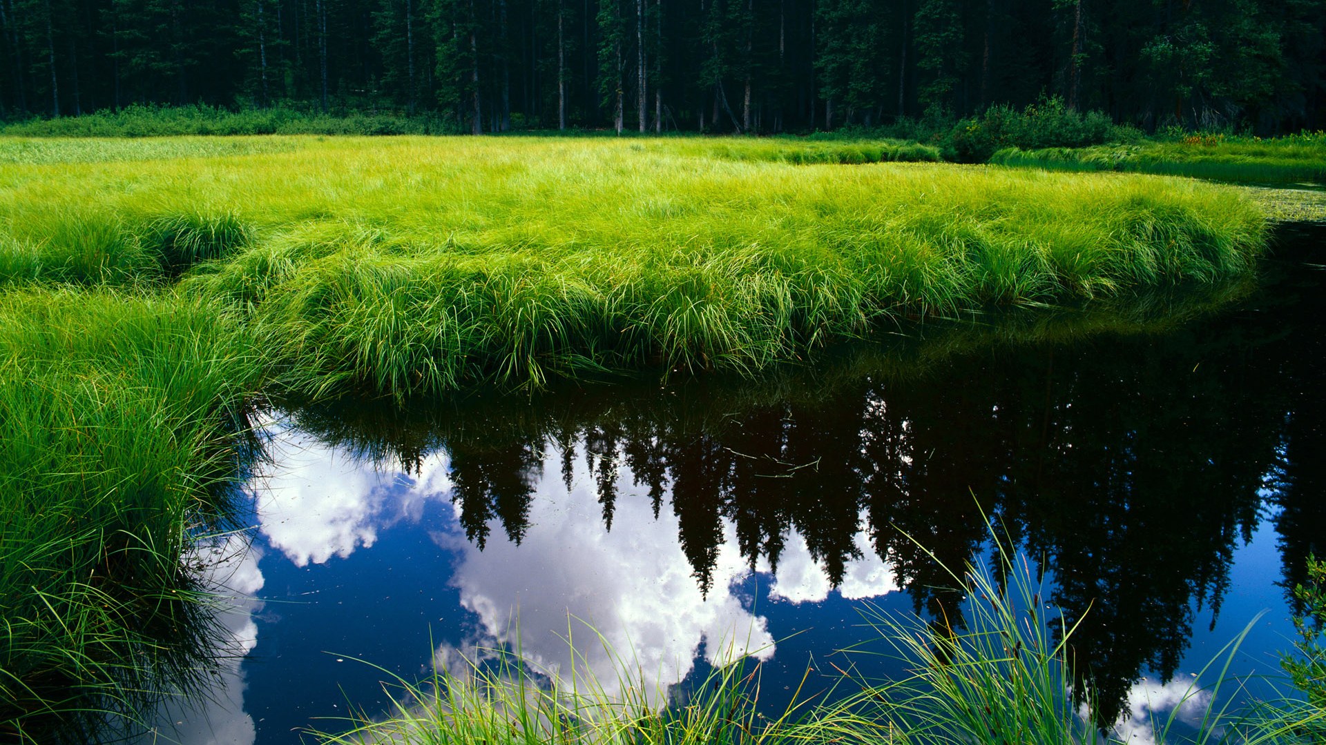 绿色智能足球场建设数量快速增长,推动绿色体育发展,足球场绿化