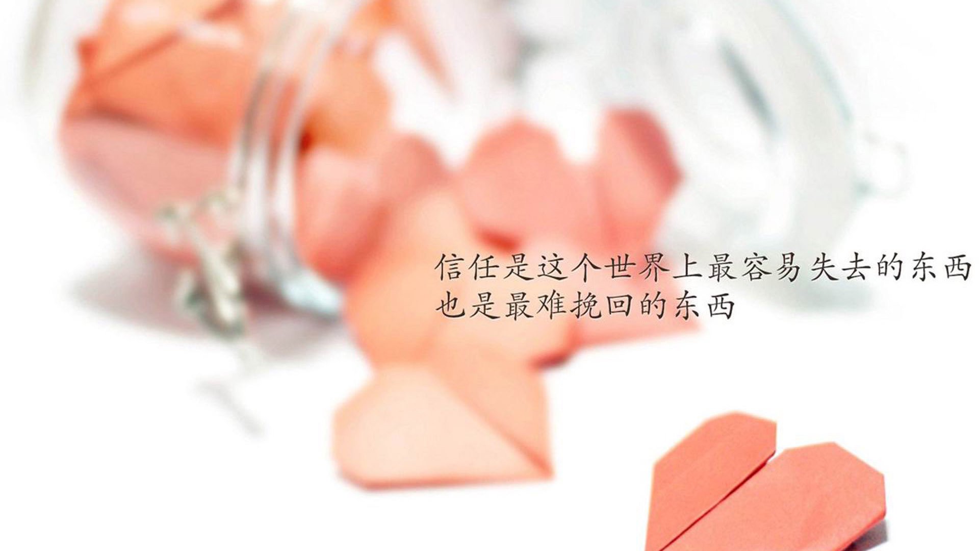 足球明星在国际慈善晚宴上共同呼吁环保行动，足球明星参加中国综艺